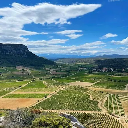 Vila Mas Elisange Perpignan