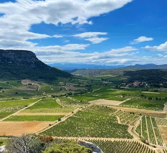 Villa Mas Elisange Perpignan